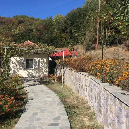 Guesthouse 