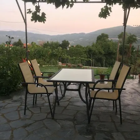 Guesthouse 